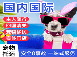 王村航空物流国际宠物托运 【国